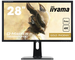 IIYAMA 28